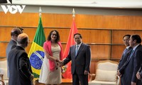 PM receives leaders of Communist Party of Brazil, Brazil-Vietnam Friendship Association