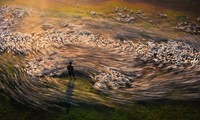 Local photographer honoured at Epson International Pano Awards 2023