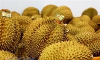 Durian export brings home 1.63 billion USD in 9 months