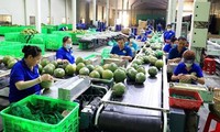 New record set in fruit, vegetable exports