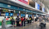 Da Nang plans to launch direct flights to Nagoya