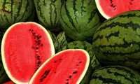 Vietnamese watermelon to be officially exported to China