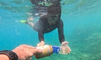 Vietnam gears up to protect the sea towards zero-waste tourism 