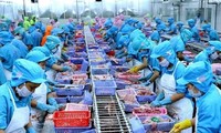 Объём экспорта рыбной продукции составил почти 2,4 миллиарда долларов