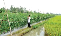 การจัดเขตการผลิตเกษตรเพื่อรับมือการเปลี่ยนแปลงของสภาพภูมิอากาศ