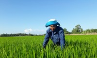 จังหวัดซอกจังรับมือปัญหาน้ำทะเลซึมเพื่อปกป้องฤดูข้าวนาปี