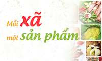 ผลักดันการปฏิบัติโครงการ 1 ตำบล 1 ผลิตภัณฑ์อย่างมีประสิทธิภาพและจริงจัง