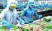 Vietnam’s exports to Mexico rise sharply