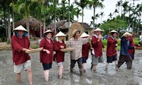 Tours of rural Quang Nam