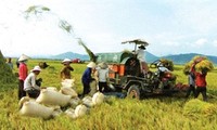 Denmark helps Dak Lak province develop agriculture