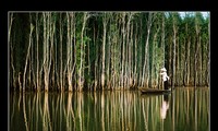 Tour of Mekong River Delta in flood season