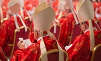 Cardinals begin conclave to elect the next pope