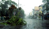 Quang Ninh thoroughly prepares to cope with typhoon Rammasun