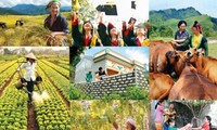 Vietnam releases National Action Plan to realize SDGs 