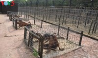 Phu Quoc prison