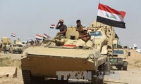 Iraqi military recaptures vital Isis stronghold of Hawija