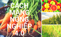 Vietnam boosts Agriculture 4.0