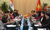 Vietnam, India hold 9th political consultation, 6th strategic dialogue