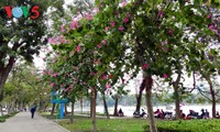 US news website names Hanoi among 13 best places to visit in March