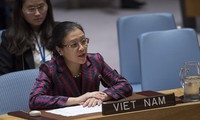 Vietnam calls on UN Security Council to solve Israel-Palestine conflict