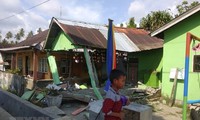 No Vietnamese victims reported in Indonesia quakes, tsunami