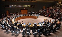 UNSC membership to raise Vietnam’s international status