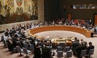 Vietnam’s bid for UNSC’s non-permanent seat receives international support