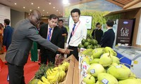 Middle-East, Africa - noted potential markets for Vietnam