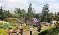 Da Lat flowerfest returns with  cultural extravaganza