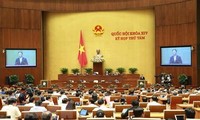 Vietnam-Cambodia land border issues debated at NA