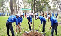 Tree planting festival 2020 to be launched