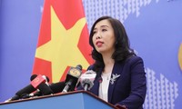 Vietnam hopes for smooth Brexit: FM spokesperson