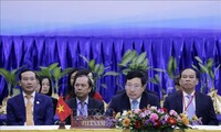 ASEAN foreign ministers discuss fight against Covid-19