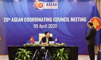 25th ASEAN Coordinating Council convened