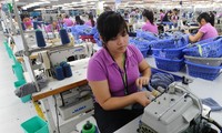 Vietnam urged to take advantage of EVFTA