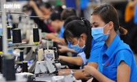 Vietnam determined to meet international labor standards