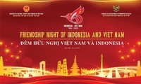 Friendship Night marks 65th anniversary of Vietnam-Indonesia diplomatic ties