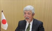 Vietnam excellent as ASEAN Chair despite pandemic: Japanese expert