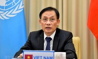 Vietnam prioritises cooperation between UN, regional organisations