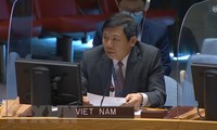 Vietnam-co-initiated Group of Friends on UNCLOS debuts in New York