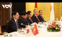 Prime Minister calls for further Vietnam-Japan ties