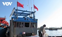 Quang Ngai fishermen busy at year’s end