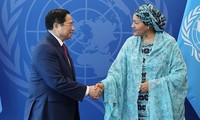 Vietnam to play more active role at UN: PM