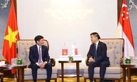 Vietnam, Singapore strengthen exchanges between parliamentarians