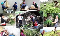 Vietnam makes remarkable progress in poverty reduction: UNDP report