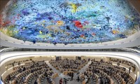 Vietnam pledges effective contribution as a member of UN Human Rights Council