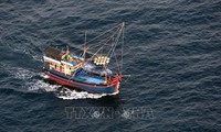 Vietnam takes more efforts to eradicate illegal fishing: Thai news site