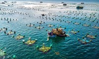 Marine farming promoted 