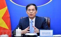 FM: Vietnam promotes modern, comprehensive diplomacy