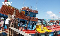 Vietnam determined to have the EU remove yellow card for IUU